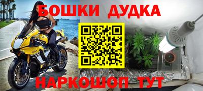 стафф Брянск