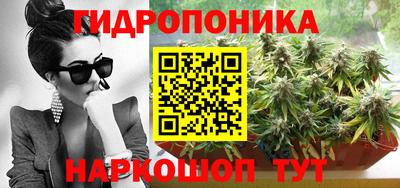стафф Брянск
