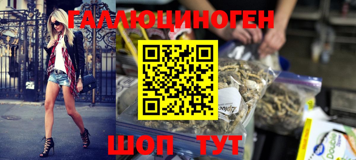 Галлюциногенные грибы Magic Shrooms  Вход с VPN  Псилоцибиновые грибы GOLDEN TEACHER  Скопин 